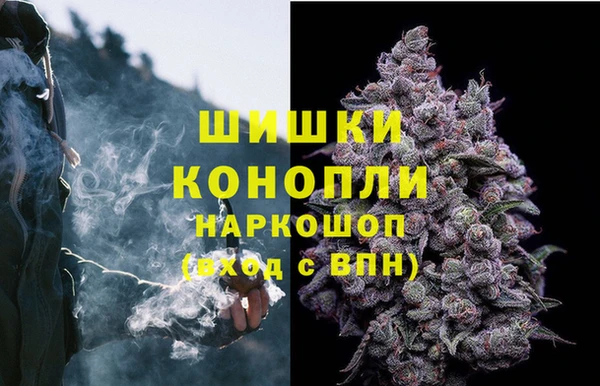 дживик Навашино