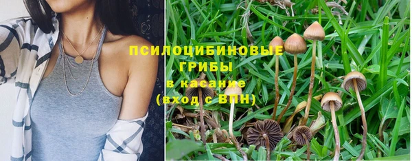 дживик Навашино