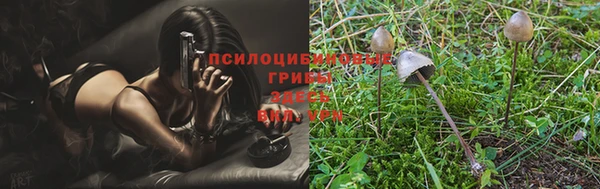 дживик Навашино