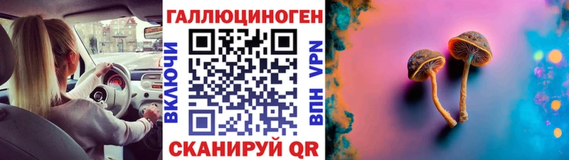 блэк спрут сайт  купить закладку  Княгинино  Галлюциногенные грибы Psilocybine cubensis 